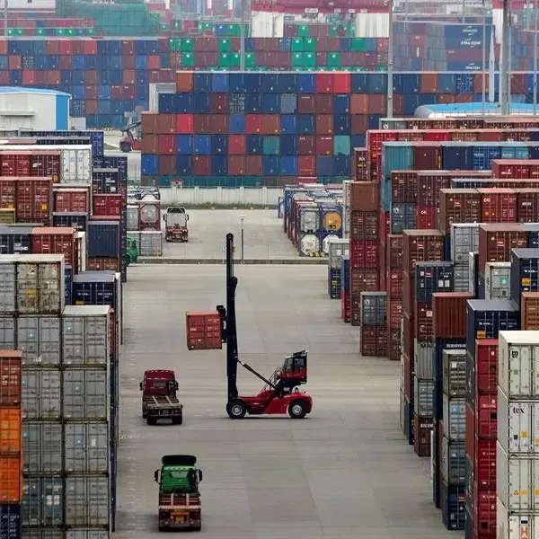 China, Africa trade sees steady growth in Jan-July 2024