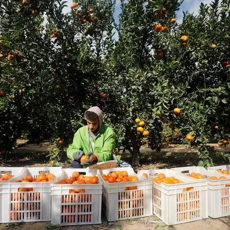 Egypt, Mauritania mull cooperation in agricultural fields