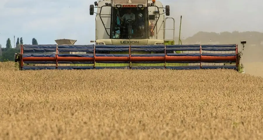 Ukraine grain exports seen down to 12.7mln T so far 2023/24 - ministry