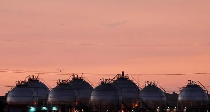 Egypt offers 12 blocks for gas exploration