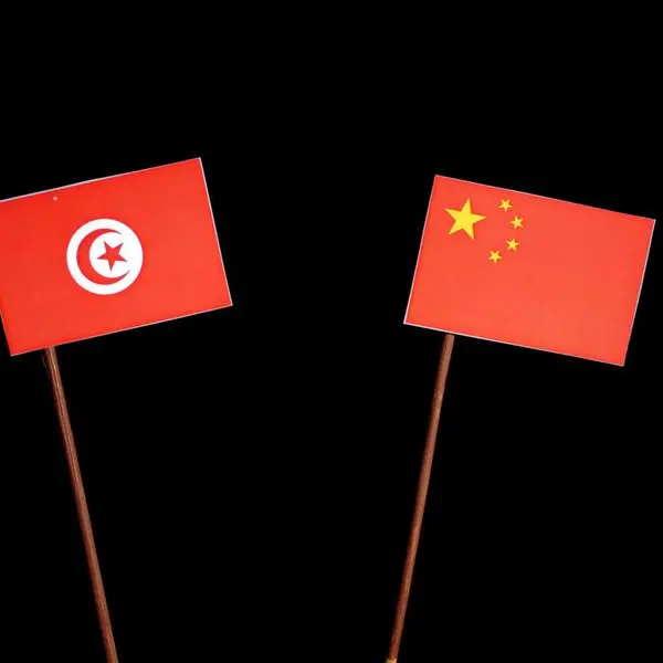 Tunisia, China ink agreement to continue excavation in Ben Arous archeological site