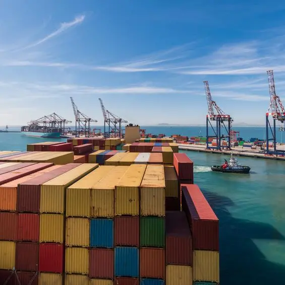 South Africa: TNPA signs $15mln container-handling deal with Grindrod Eyamakhosi