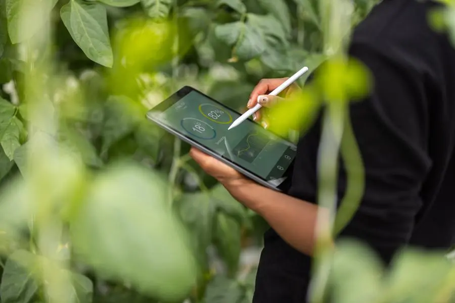 Cropped shot of a woman agronomist using digital tablet for analysis of plantation. Woman updating plants growth on digital tablet app in garden center. Getty Images Image used for illustrative purpose. , Getty Images