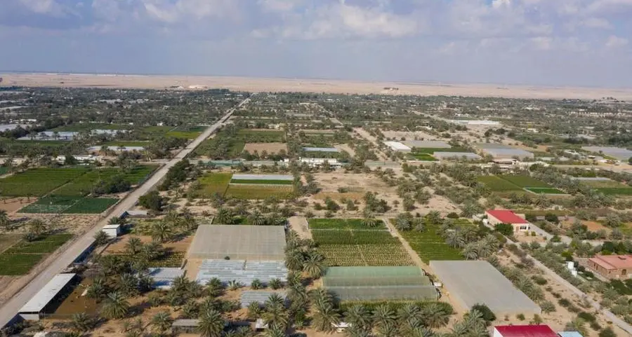 Abu Dhabi issues new rules for small-scale farms to boost production