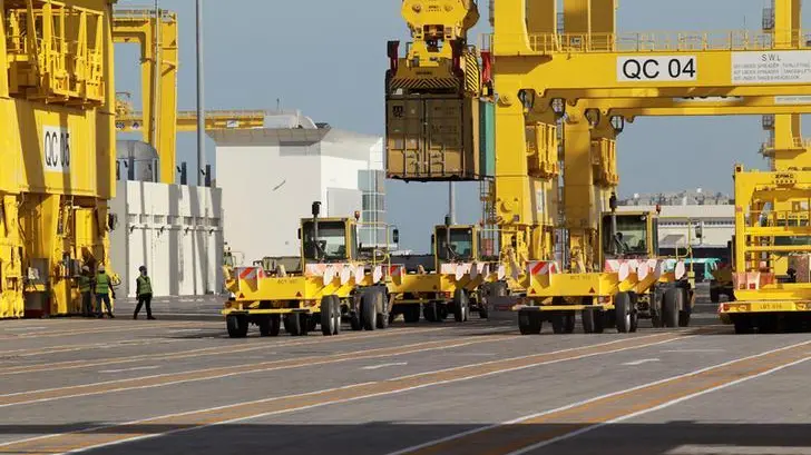 Qatar ports record brisk pace in container, RORO movement in 2024; Hamad Port emerges transshipment hub