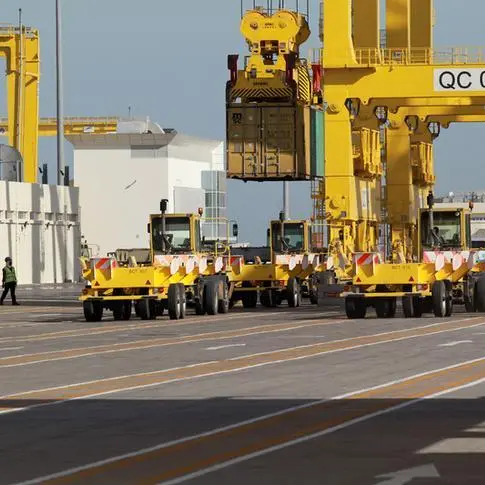 Qatar: Hamad Port sees record-breaking RORO operations in 2024