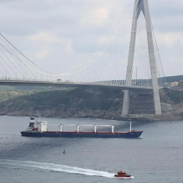 Turkey's higher straits fee may affect Ukrainian grain exports, brokers say