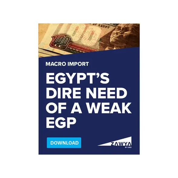 Micro report Egypt: July 2024