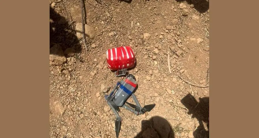 Jordan's army shoots down drone loaded with narcotics