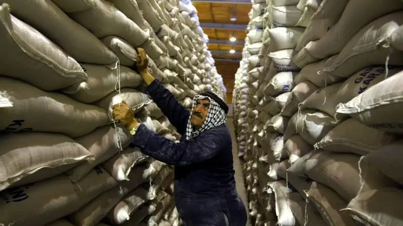 Jordan issues tender to buy up to 120,000 tons of wheat, traders say