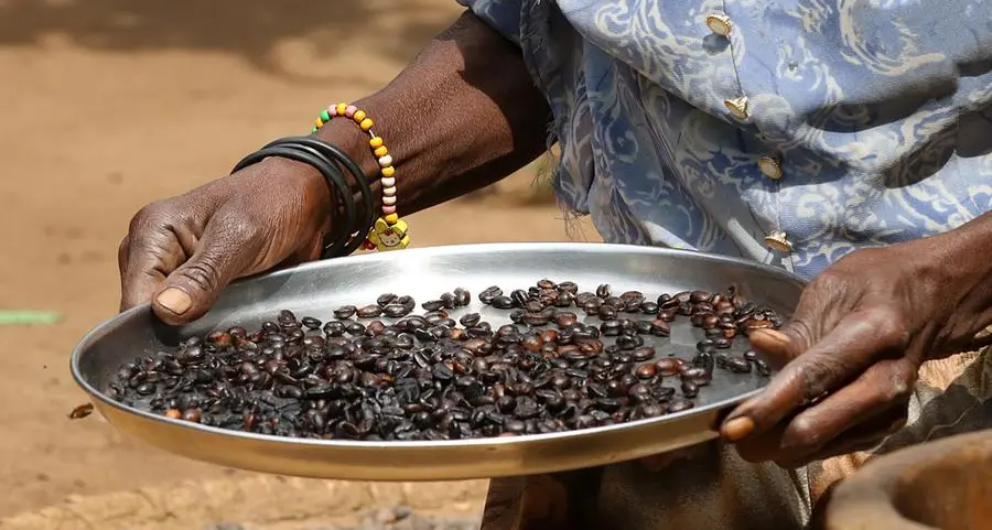 Uganda coffee exports earnings, volumes jump in May, government report says