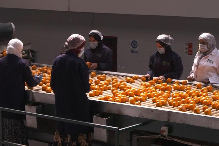 CNN’s Connecting Africa explores the food industry in Egypt