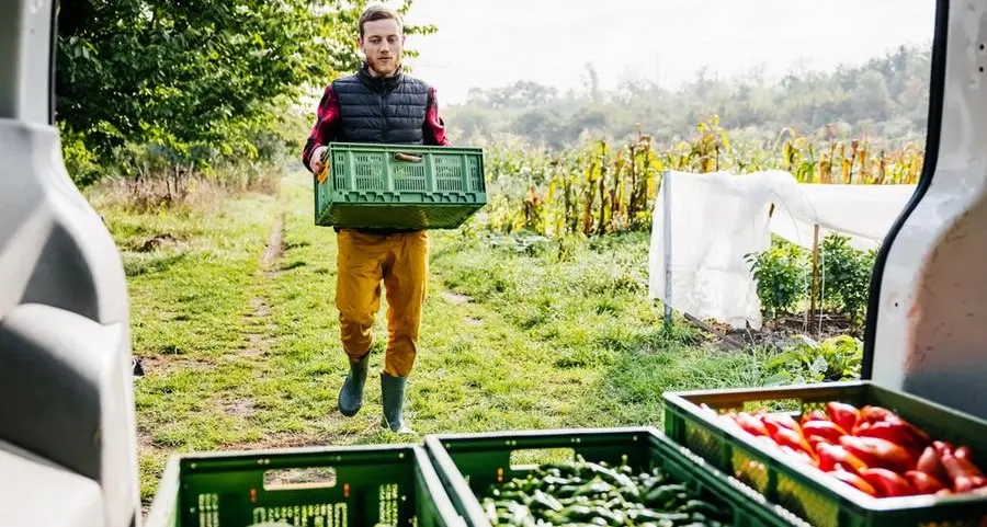 Mideast conflict shaking global food supply chains, says IFAD