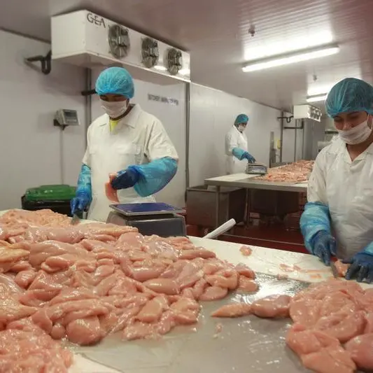 GCC officials discuss strengthening strategic food reserves and supply chains