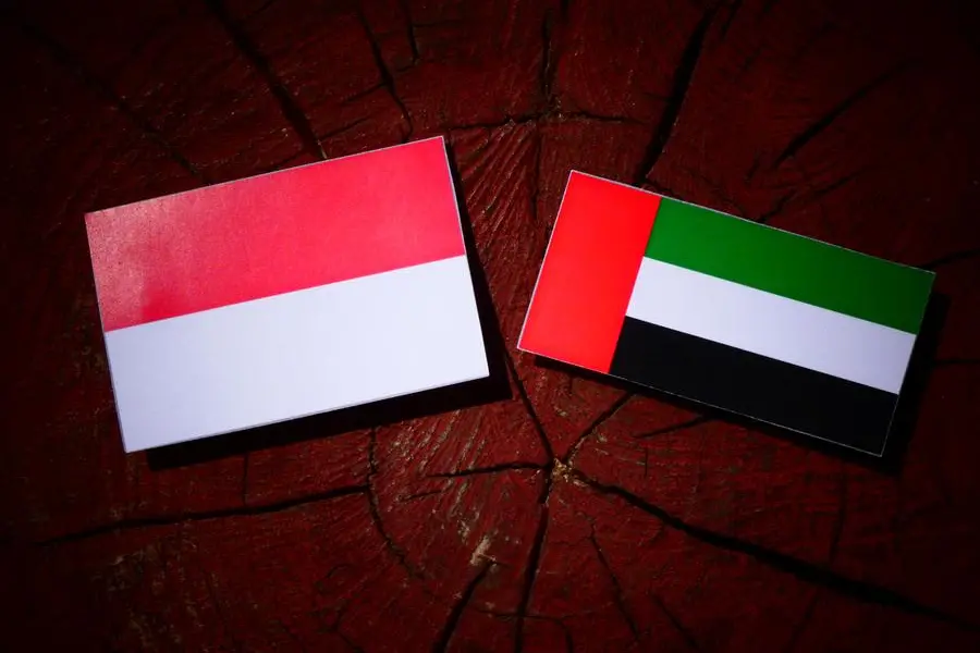 UAE, Indonesia ink MoU on Public Financial Management