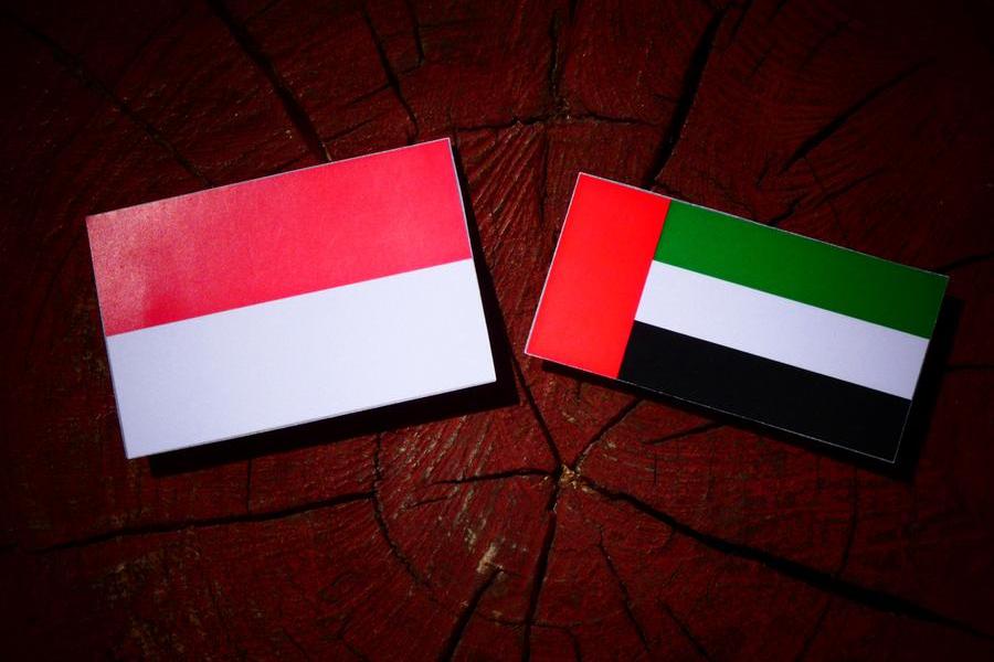 UAE and Indonesian Presidents discuss cooperation and regional developments