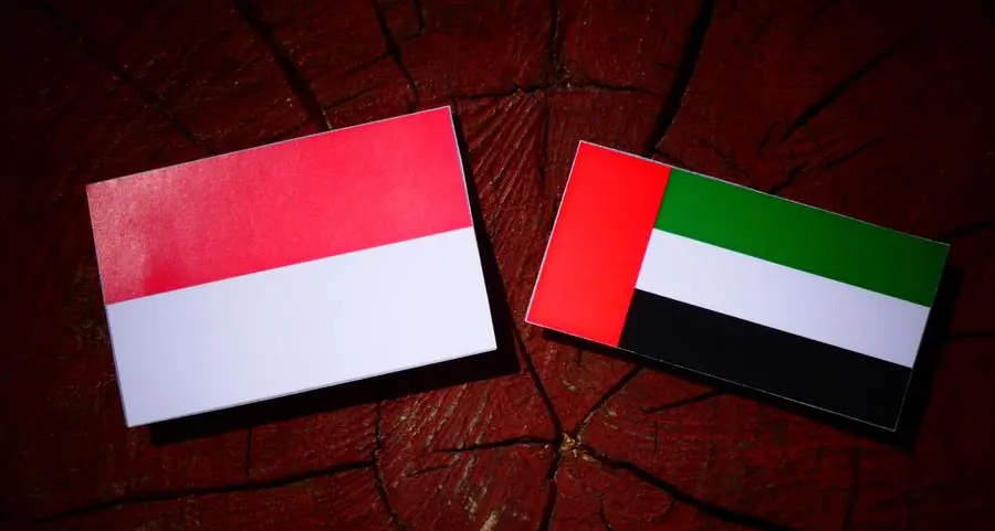 UAE and Indonesian Presidents discuss cooperation and regional developments