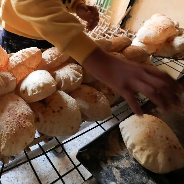 Egypt plans to cut prices of unsubsidised commercial bread by up to 40%