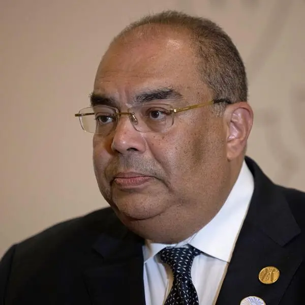 Private sector involvement in climate adaptation is crucial to meet global goals: Egypt's Mohieldin