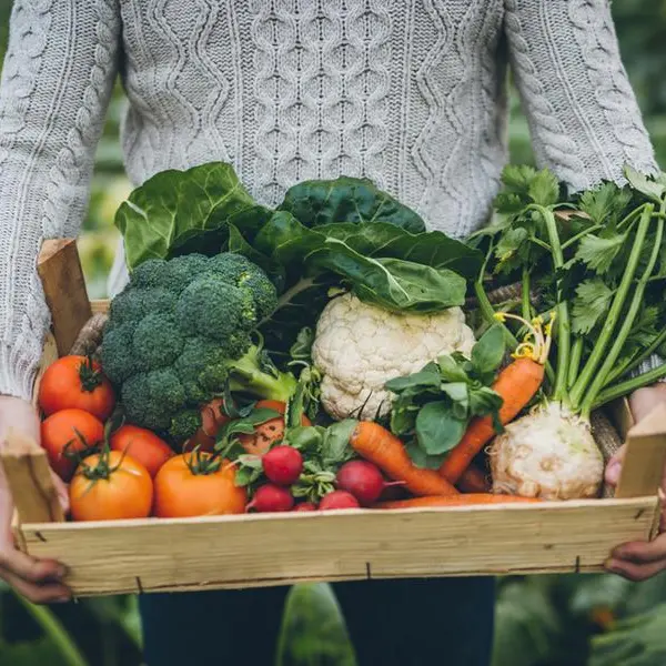 23-year-old Emirati farmer turns passion into thriving organic farming business
