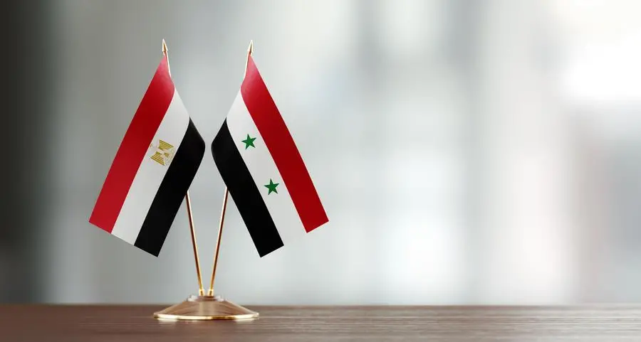 Egyptian Foreign Minister, Syrian counterpart, discuss bilateral ties, regional issues