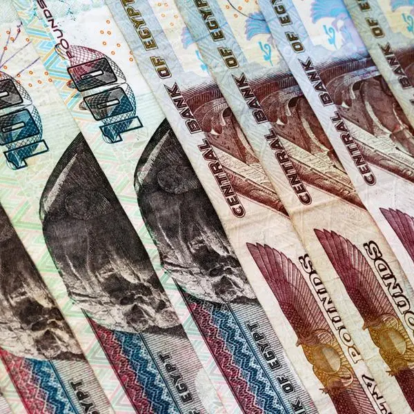 Egypt's stalled asset sales will add pressure on currency - Moody's