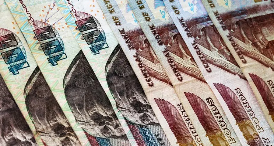 Egypt's FRA amends standards for financial evaluation of enterprises