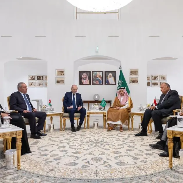 Arab ministerial coordination meeting in Riyadh reiterates importance of ending war in Gaza