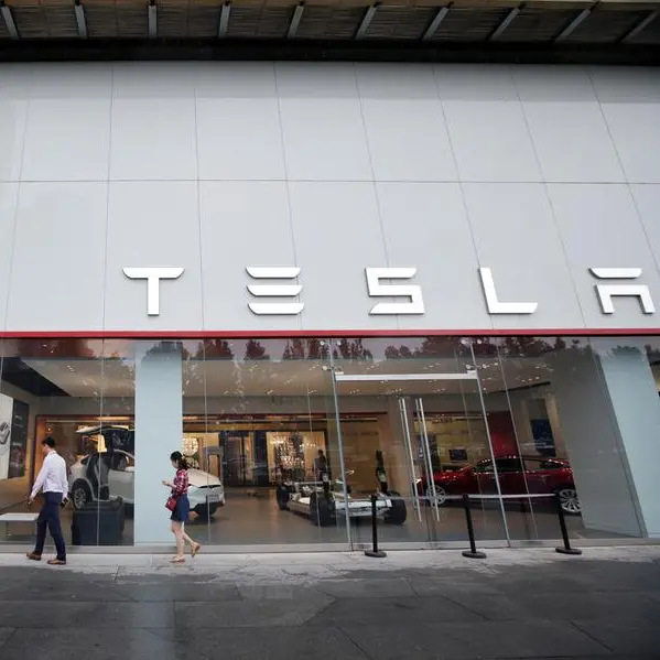 Tesla's rivals scrap for thin slices of US EV sales