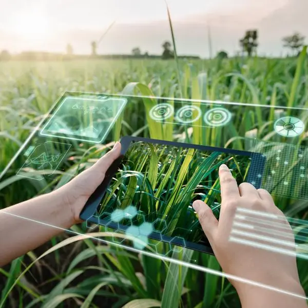 Smart technologies, 5G shaping China's future agricultural modernisation