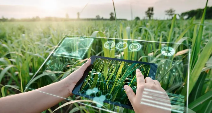 Du, Gracia launch agritech digital platform to boost agriculture in UAE