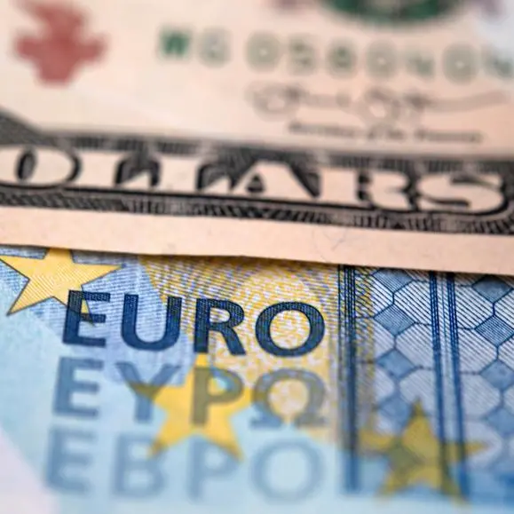 Decline in eurozone business activity slows in January
