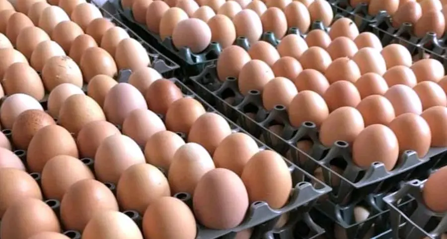 Al Ain Farms plans to raise egg production to 550mln annually