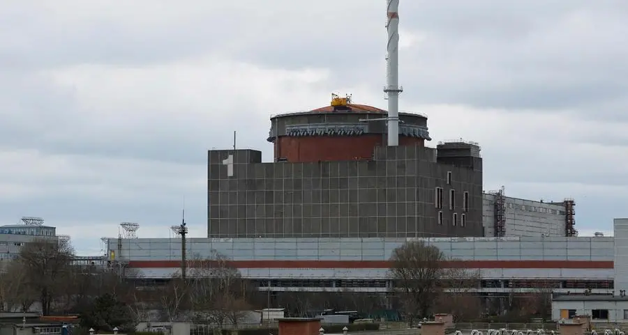 Ukrainian drone crashes near Zaporizhzhia nuclear plant - Russian media