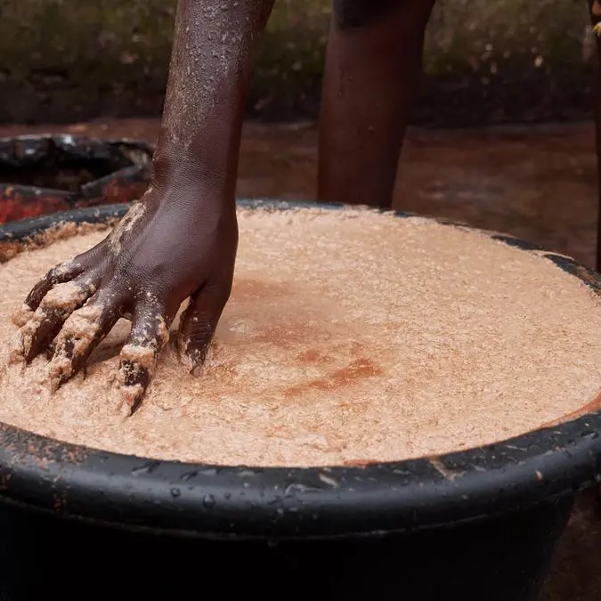 Sale of shea butter brings hope to women in Mali