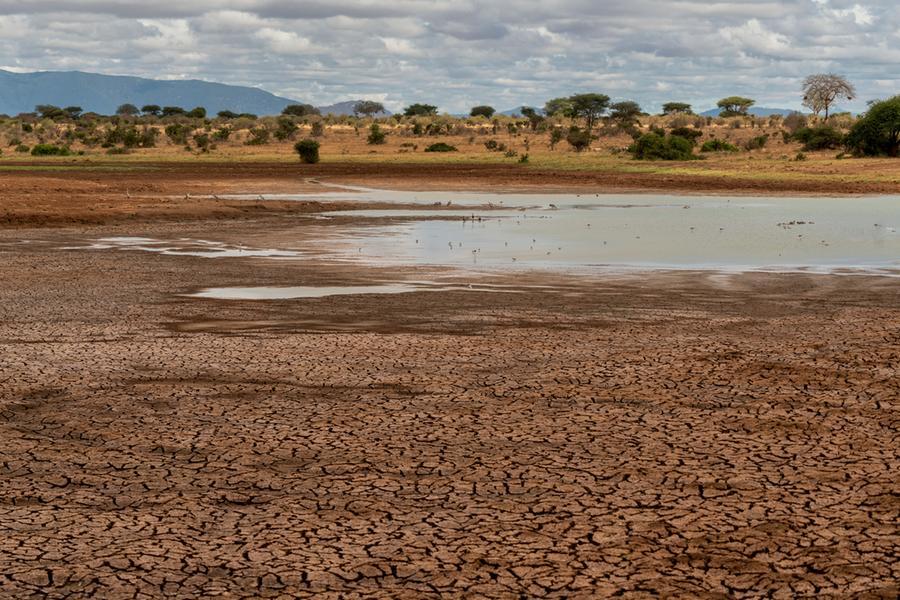 Cambio climático y sequía en el norte de Kenia