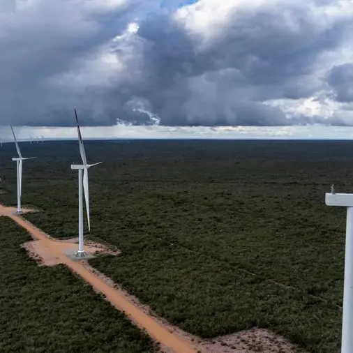Brazil faces dilemma: endangered macaw vs. wind farm