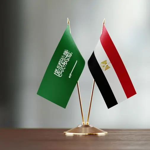 Saudi, Egyptian foreign ministers discuss de-escalation, condemn Iran attacks