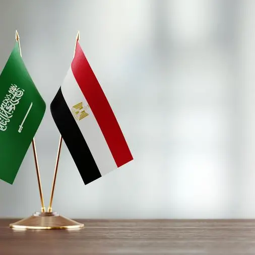 Egypt, Saudi Arabia strengthen industrial cooperation with supply chain deal