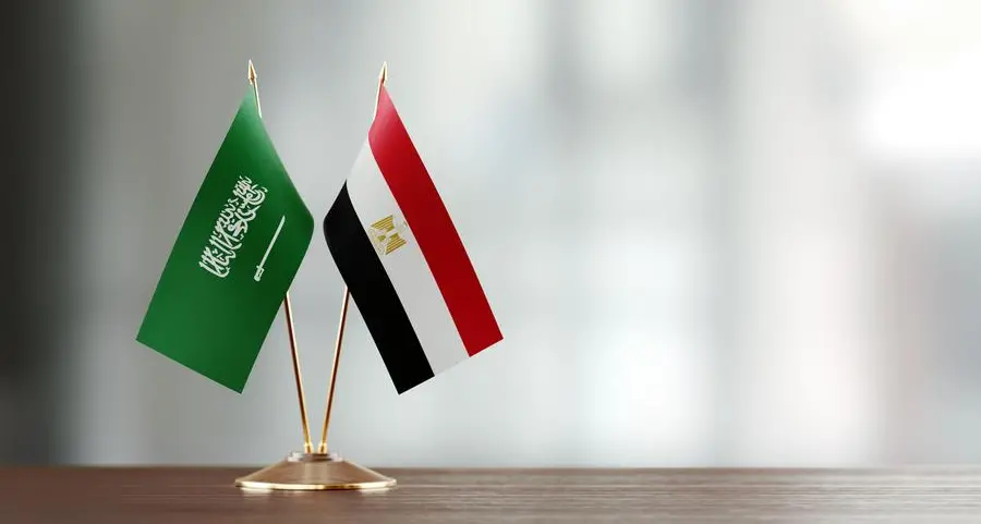 Egypt, Saudi Arabia strengthen industrial cooperation with supply chain deal