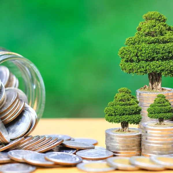Egypt: SHMFF explores green bond issuance with global partners, local banks