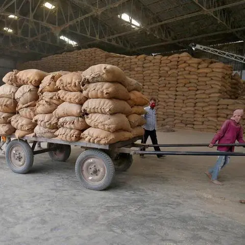 India decides to allow rice export to Singapore: MEA
