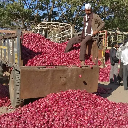 India extends ban on onion exports indefinitely ahead of general election
