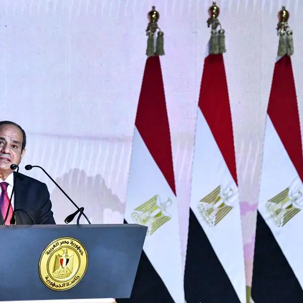 Huthi attacks cut Suez Canal revenue by 40-50%: Egypt's Sisi