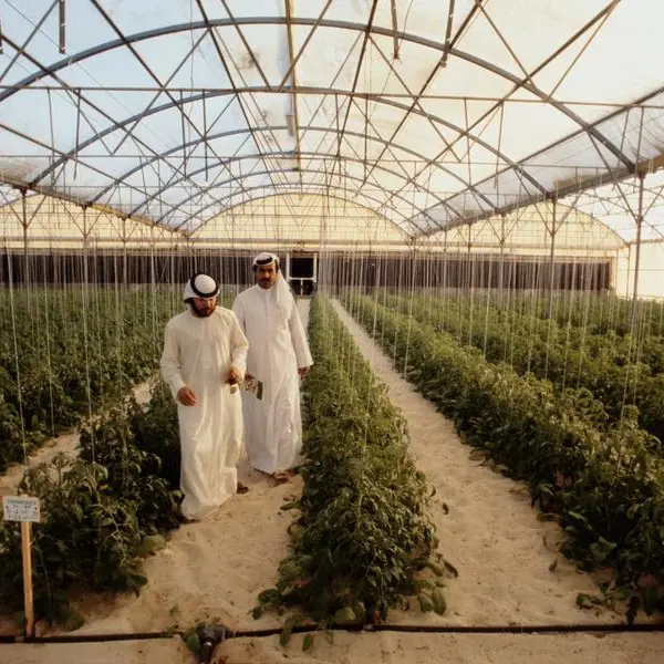 UAE's ADQ fund powers world's first solar desalination plant for agriculture