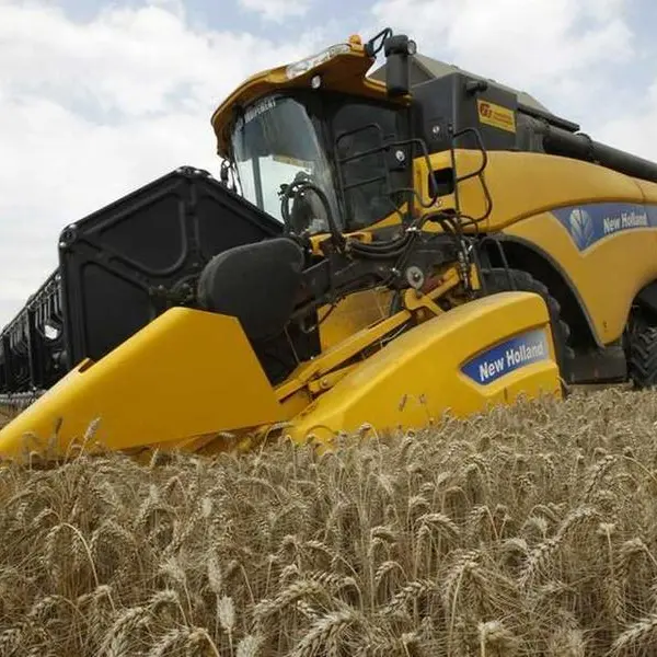 Algeria tenders to buy nominal 50,000 T soft milling wheat