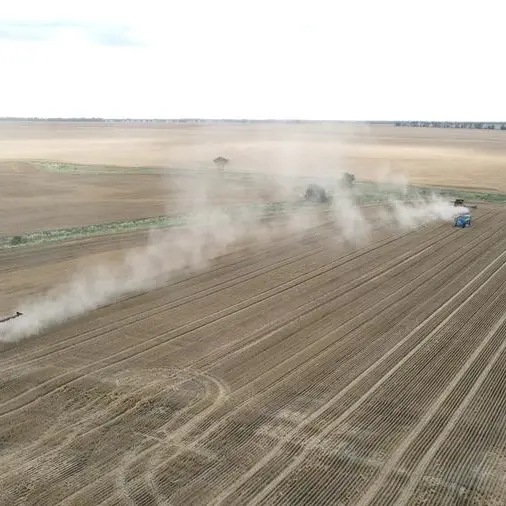 Storms hit Australia's wheat harvest