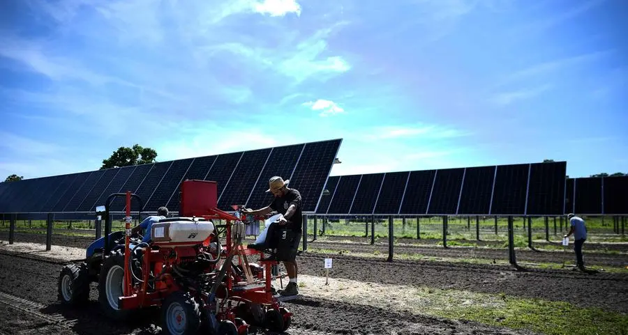 Solar to be Vatican's sole energy source, pope orders