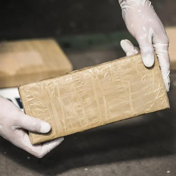 ZATCA thwarts 114,973 kg of hashish hidden inside a vehicle coming to Saudi Arabia