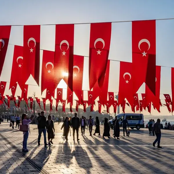 Turkey to begin talks with World Bank for $6bln electricity grid financing